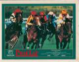 Phar Lap Photosheet Lobby 6 Original 11x14 Rare 1983 Tom Burlinson