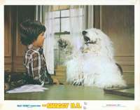 The Shaggy DA Lobby Card 2 USA 11x14 Original 1976 Dean Jones