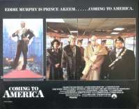 Coming To America 1988 Eddie Murphy 11x14 Lobby Card