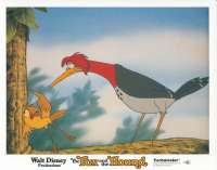 The Fox And The Hound Lobby Card 1 USA 11x14 Original 1981 Disney