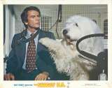 The Shaggy DA Lobby Card 4 USA 11x14 Original 1976 Dean Jones