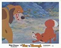 The Fox And The Hound Lobby Card 5 USA 11x14 Original 1981 Disney